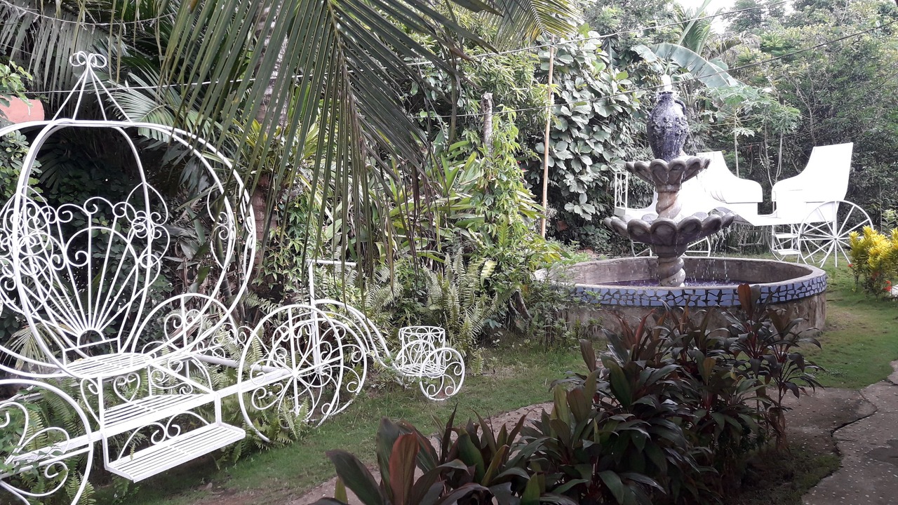 Photo of Outdoor in Sara