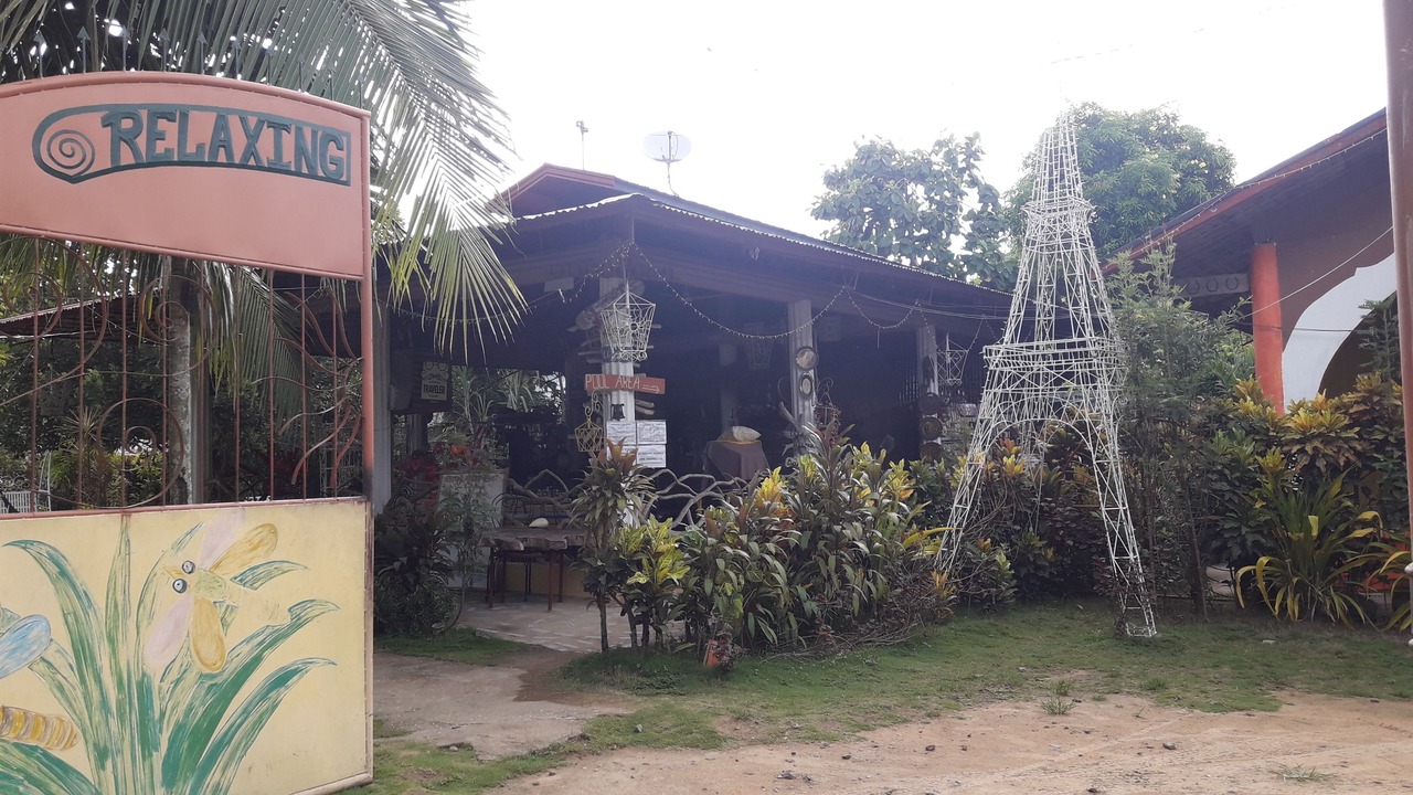 Photo of Outdoor in Sara