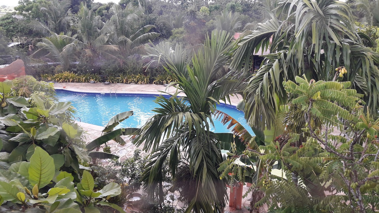 Photo of Outdoor in Sara