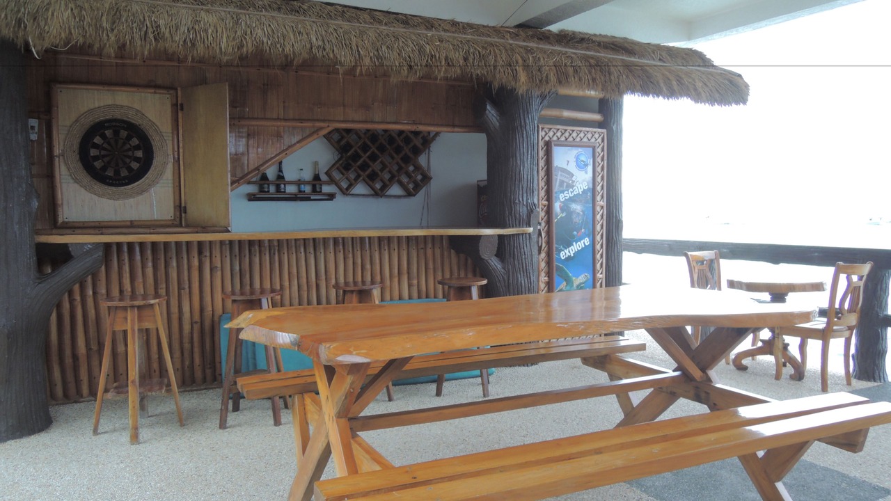 Photo of Others in Moalboal