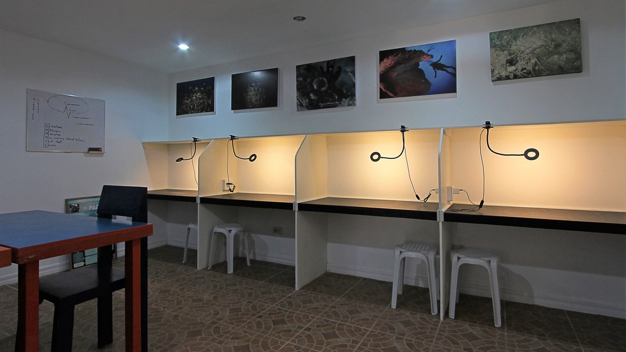 Photo of Others in Zamboanguita