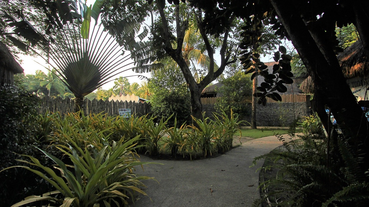 Photo of Outdoor in Zamboanguita