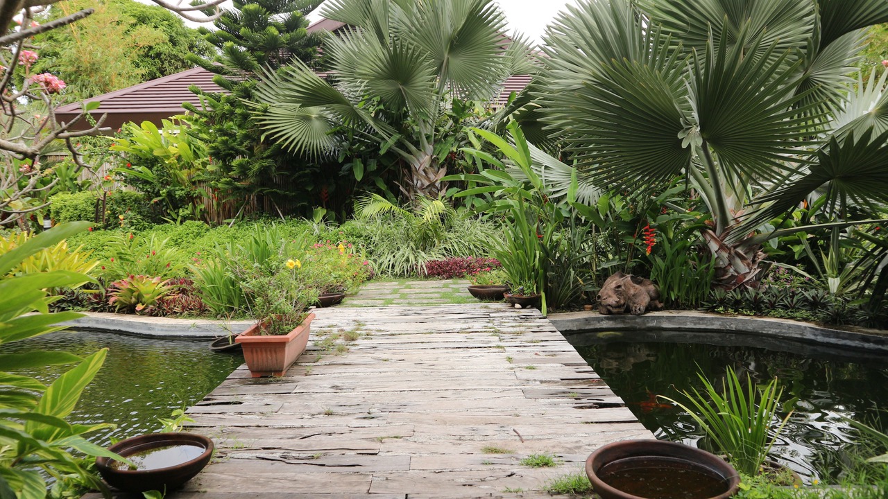 Photo of Outdoor in Dauin