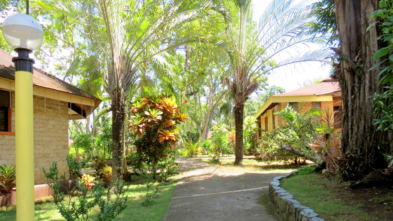 Photo of Outdoor in Tawala