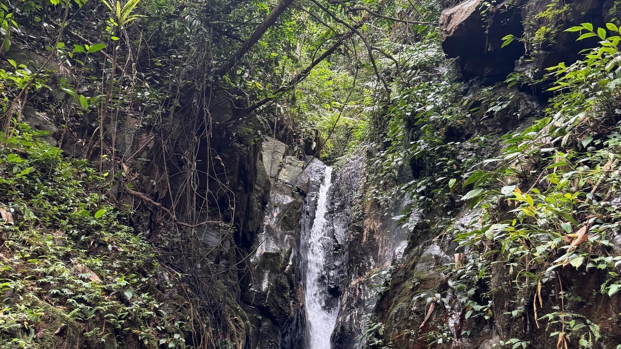 Photo of Outdoor in Lojing