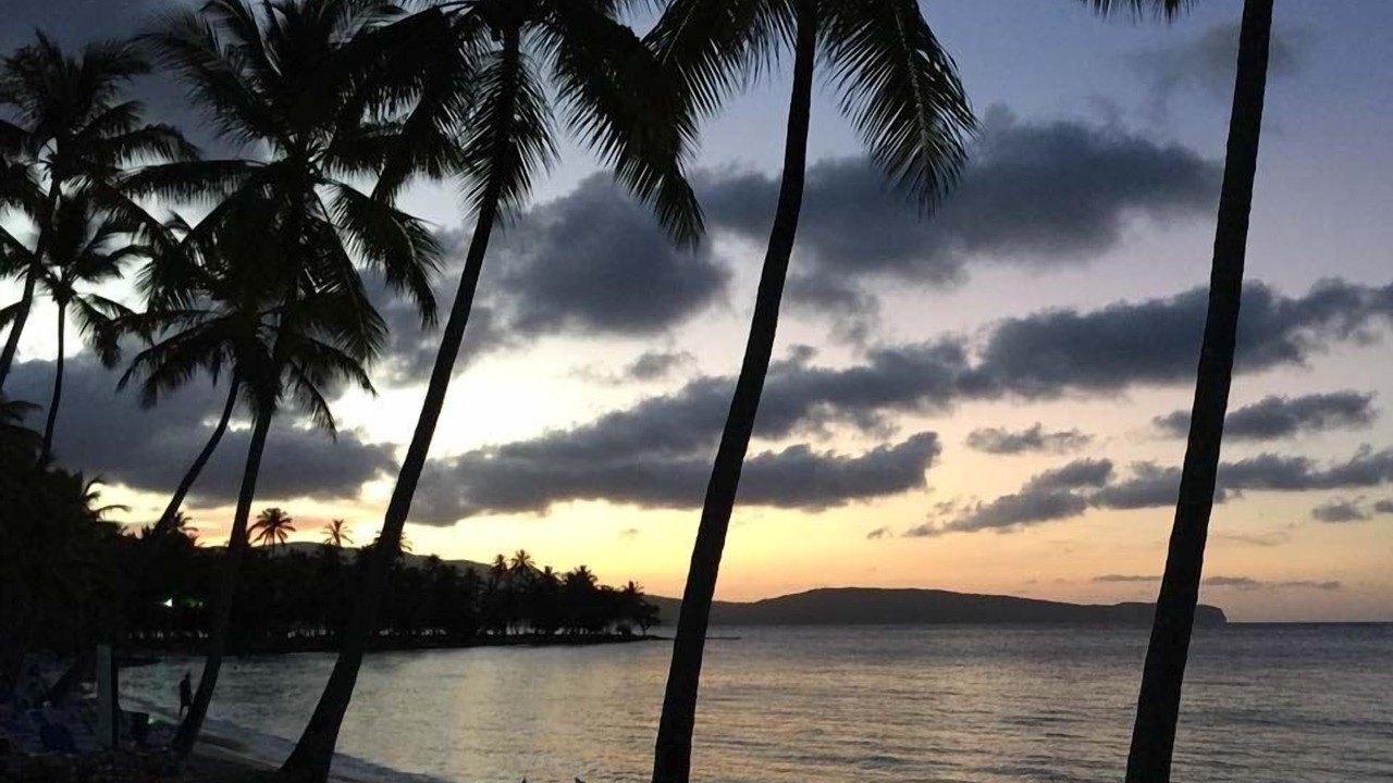 Photo of Others in Las Galeras