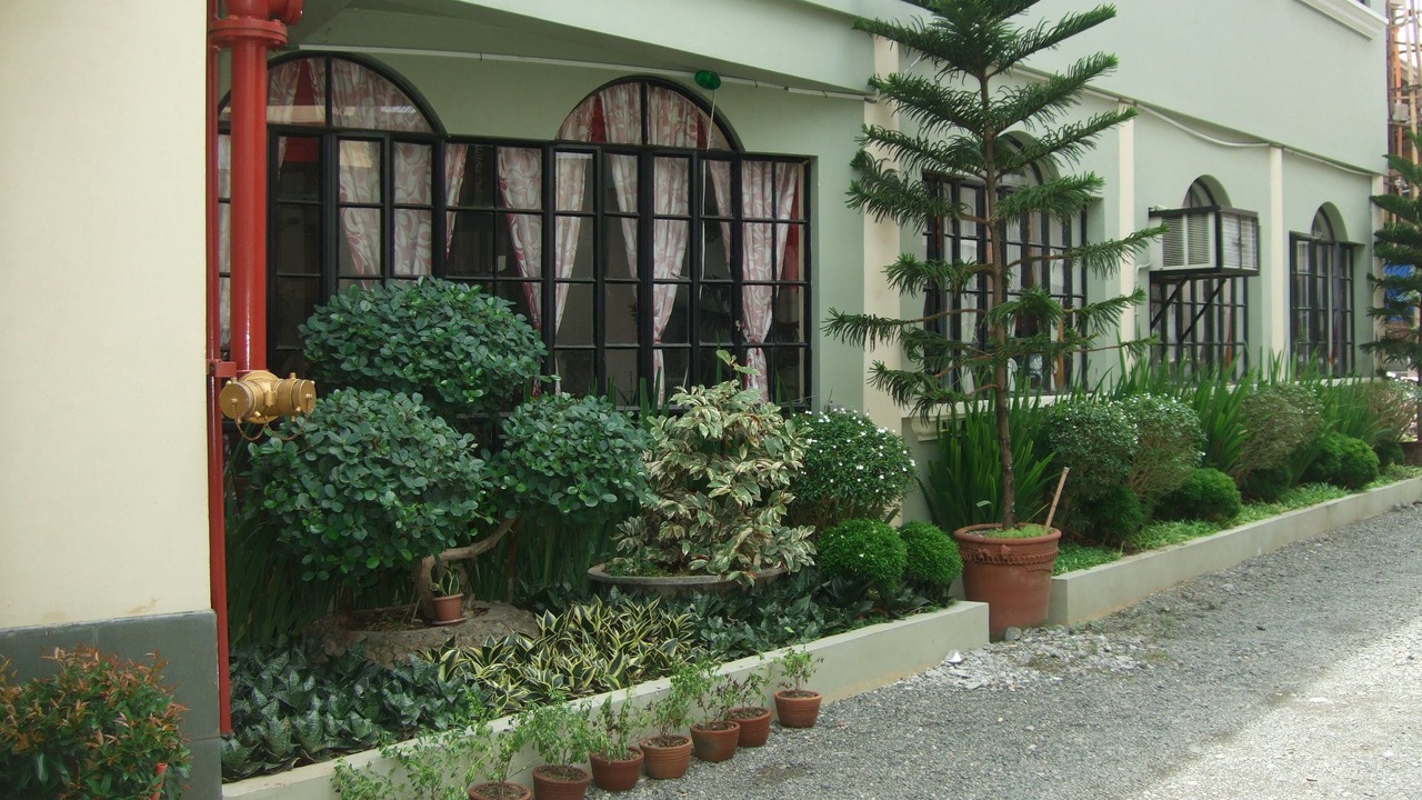 Photo of Others in Estancia