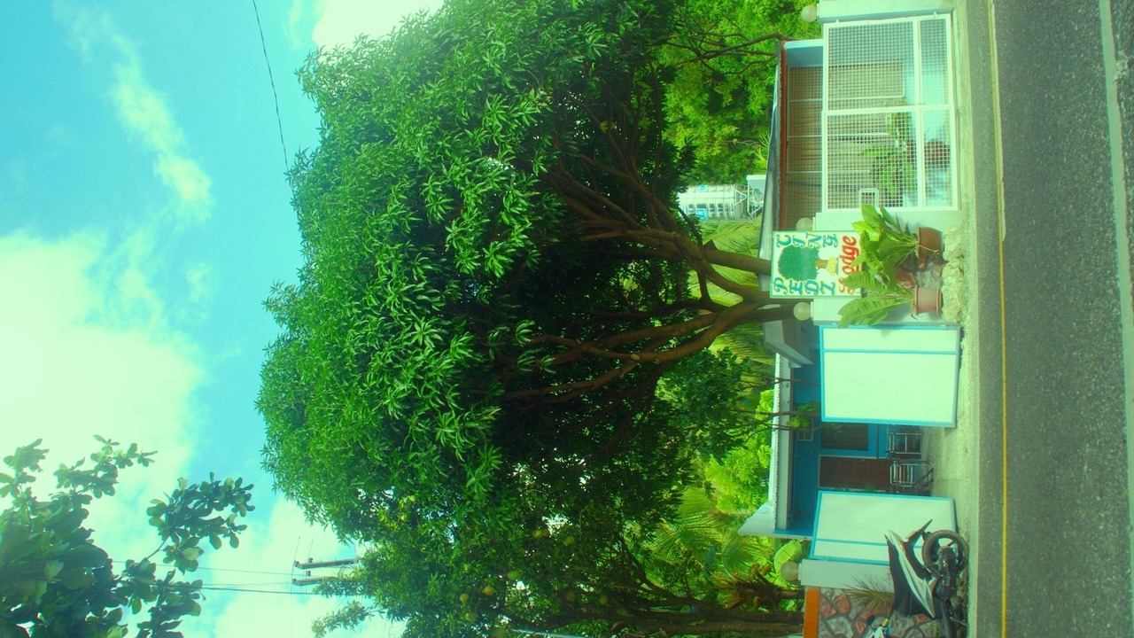 Photo of Others in Oslob