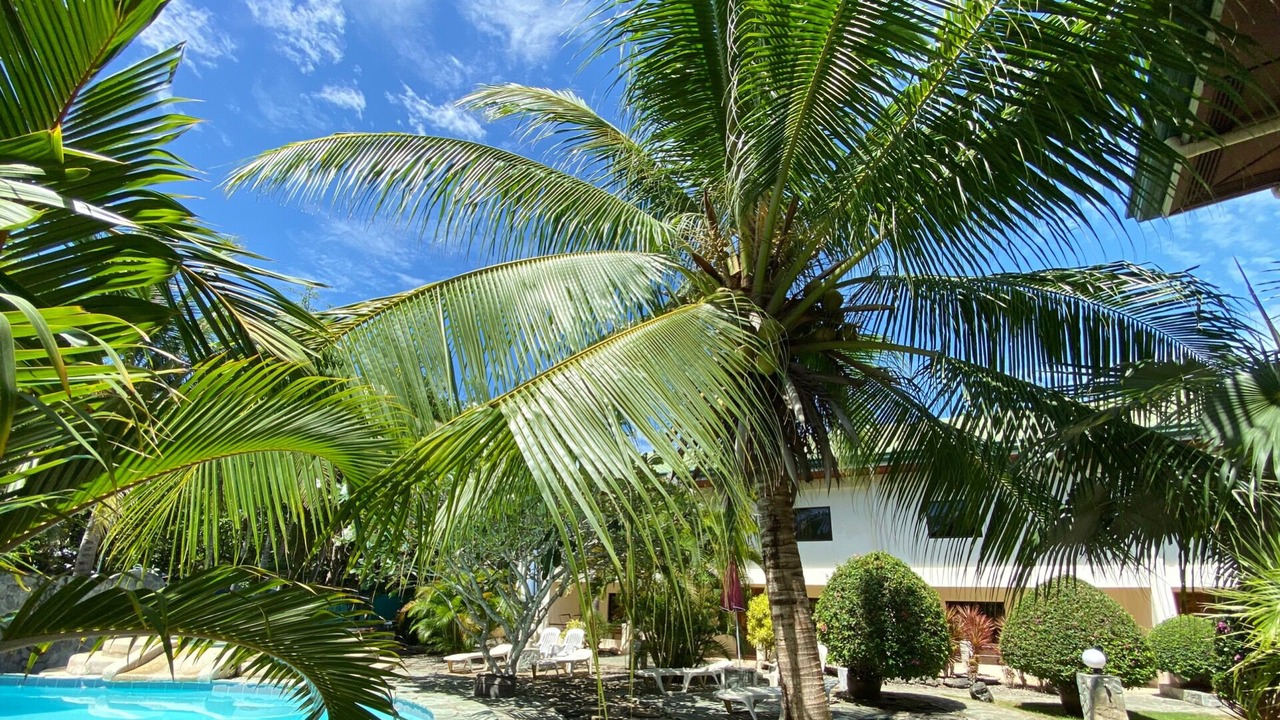Photo of Outdoor in Tawala
