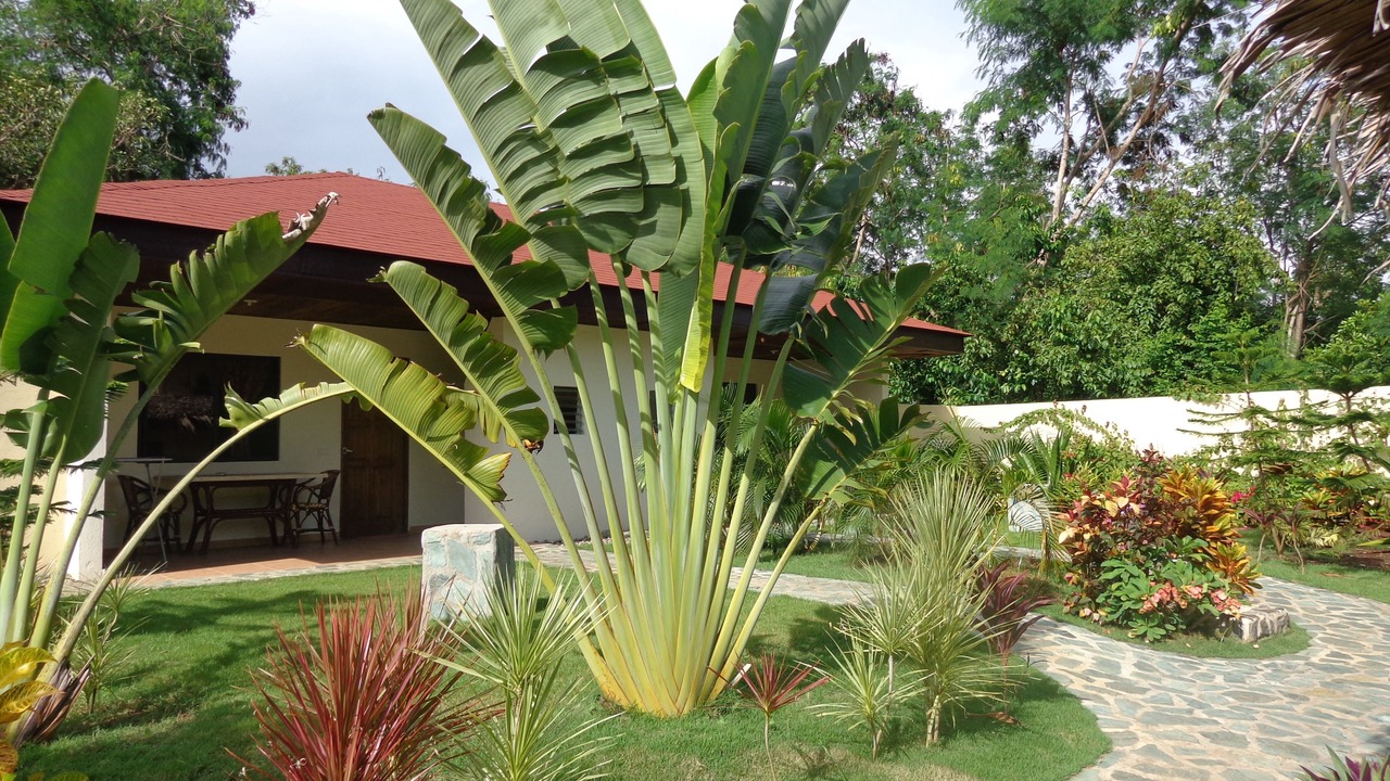 Photo of Outdoor in Tawala