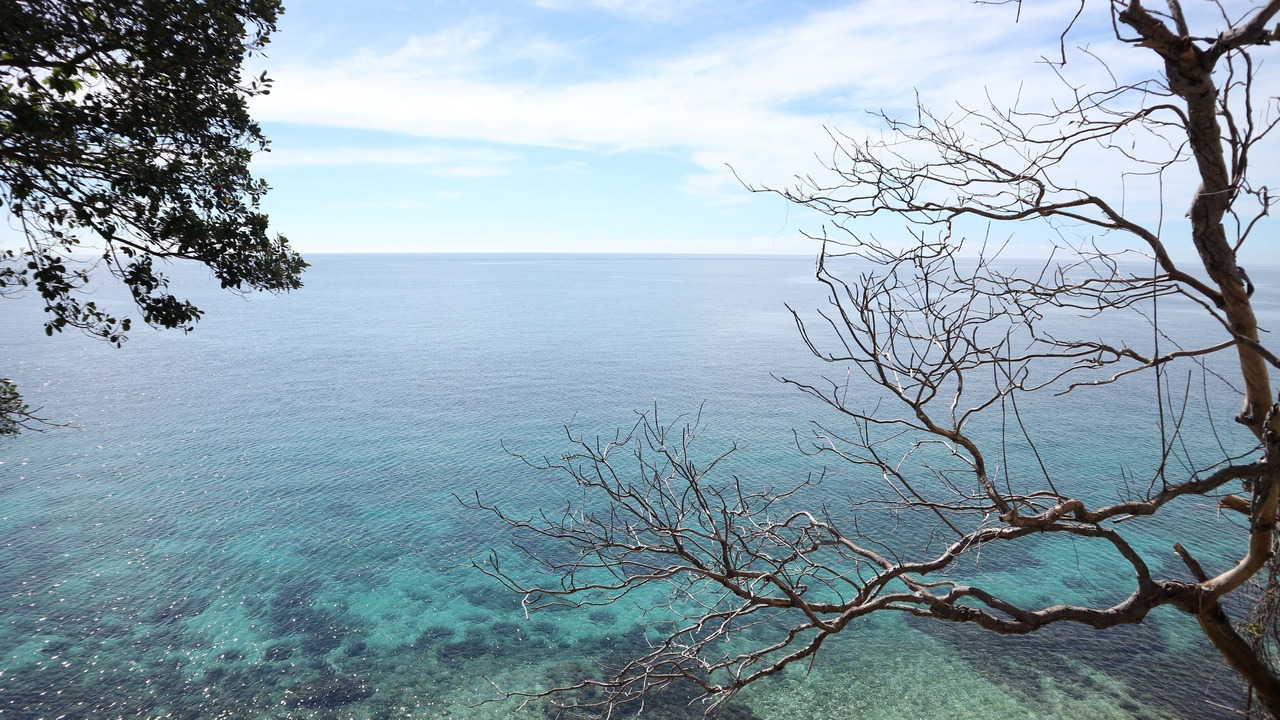Photo of Others in Zamboanguita