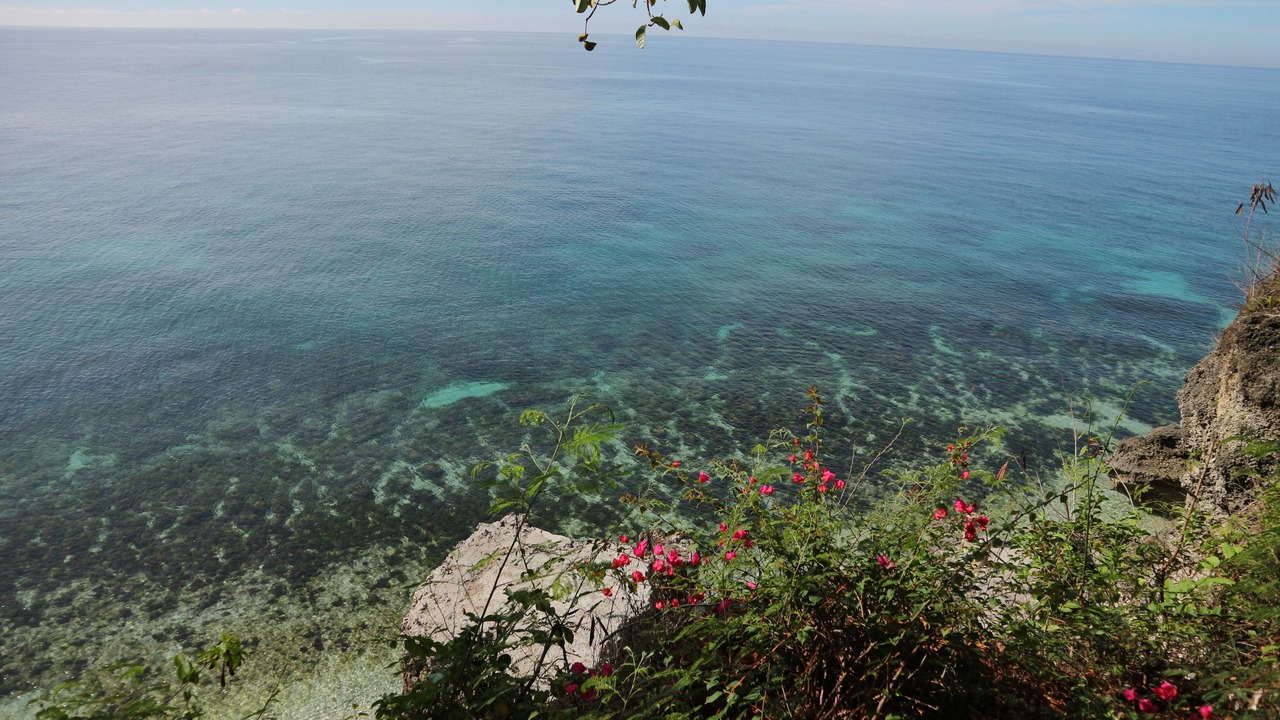 Photo of Others in Zamboanguita