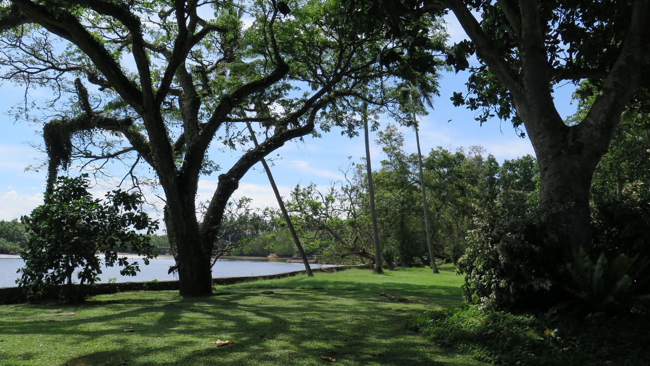 Photo of Outdoor in Tagum