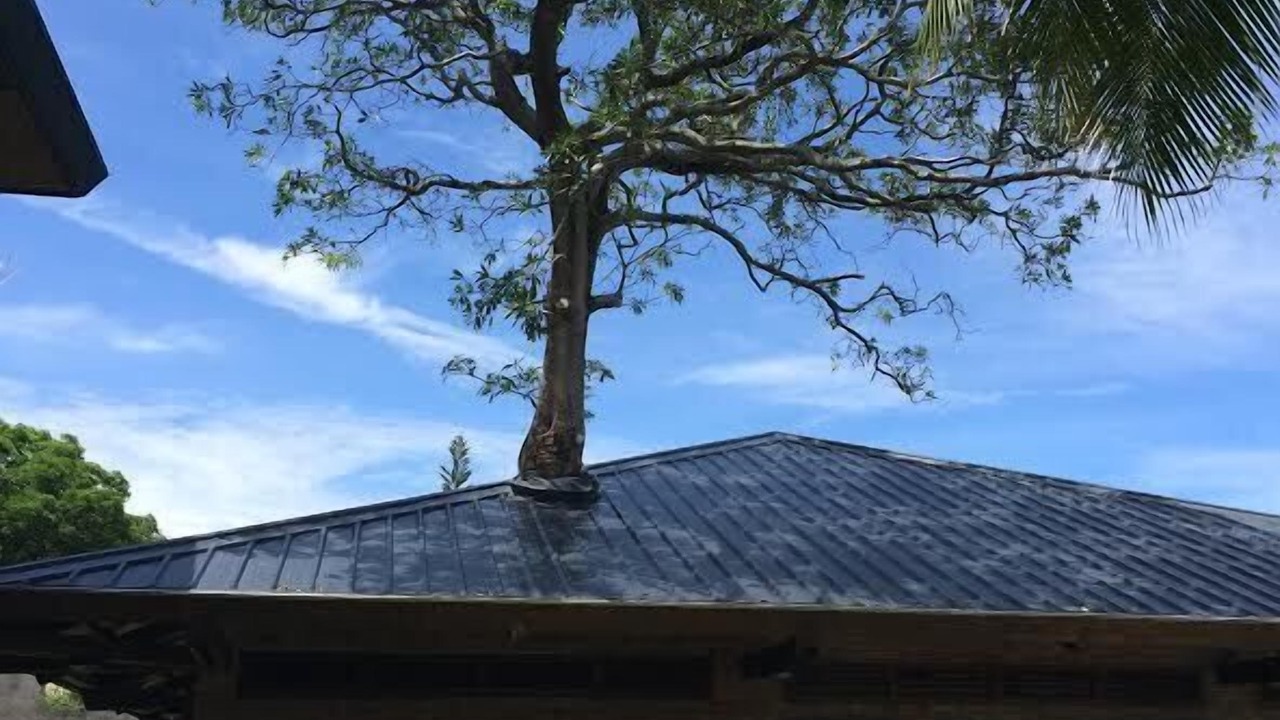 Photo of Outdoor in Mabini