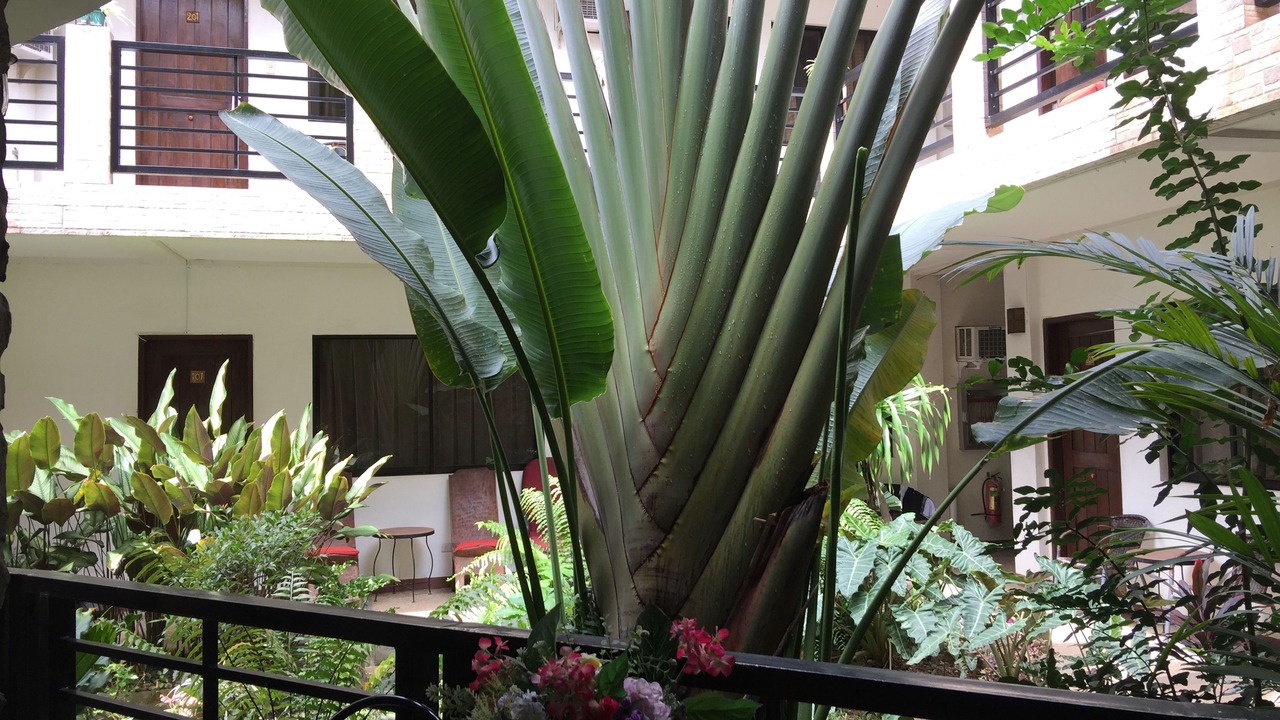 Photo of Outdoor in Coron Town Proper