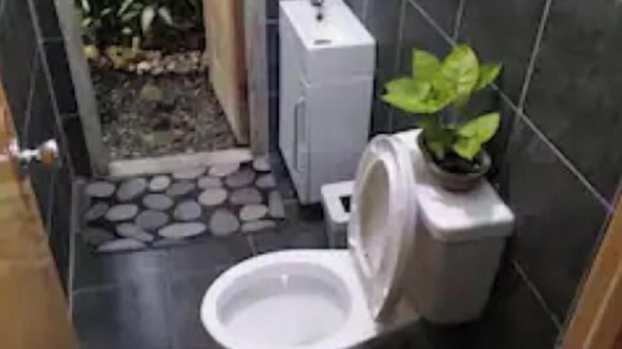 Photo of Others in Pavia