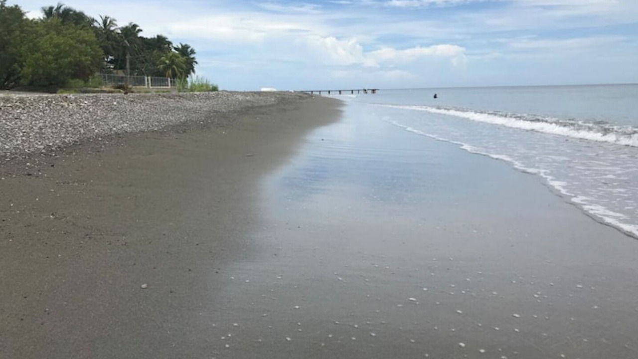 Photo of Others in Palmar de Ocoa