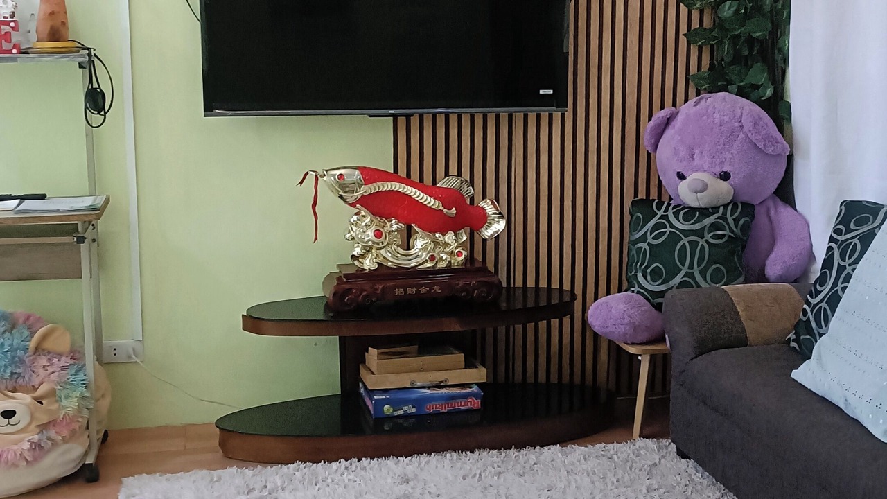 Photo of Livingroom in Santo Tomas