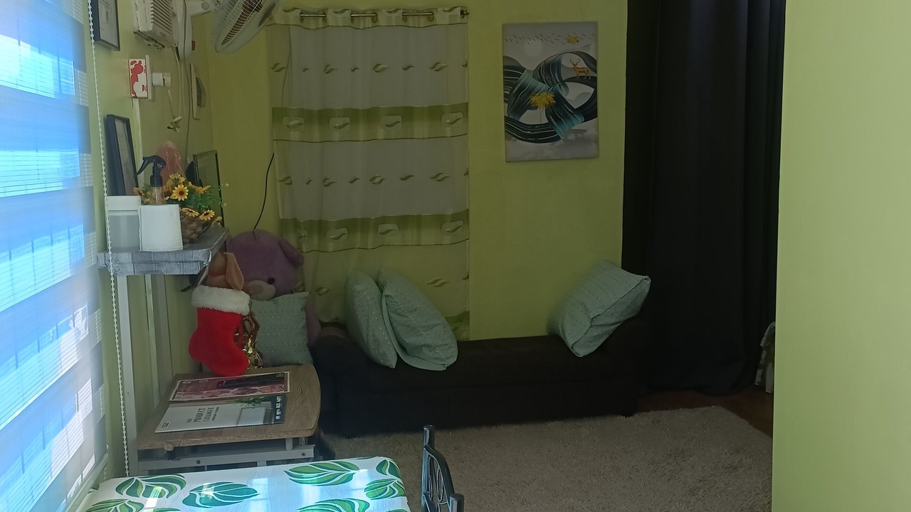 Photo of Livingroom in Santo Tomas