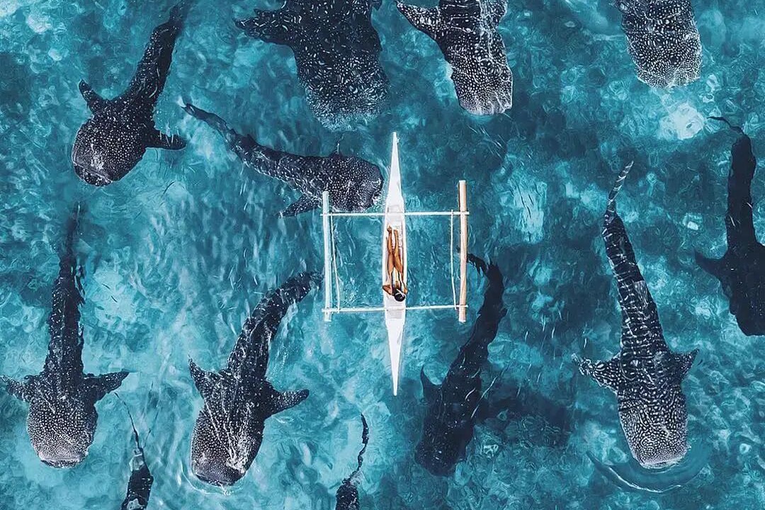 Photo of Outdoor in Lapu-Lapu