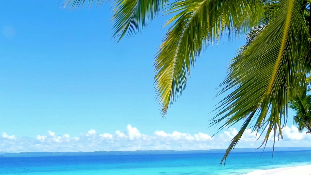 Photo of Others in Lapu-Lapu