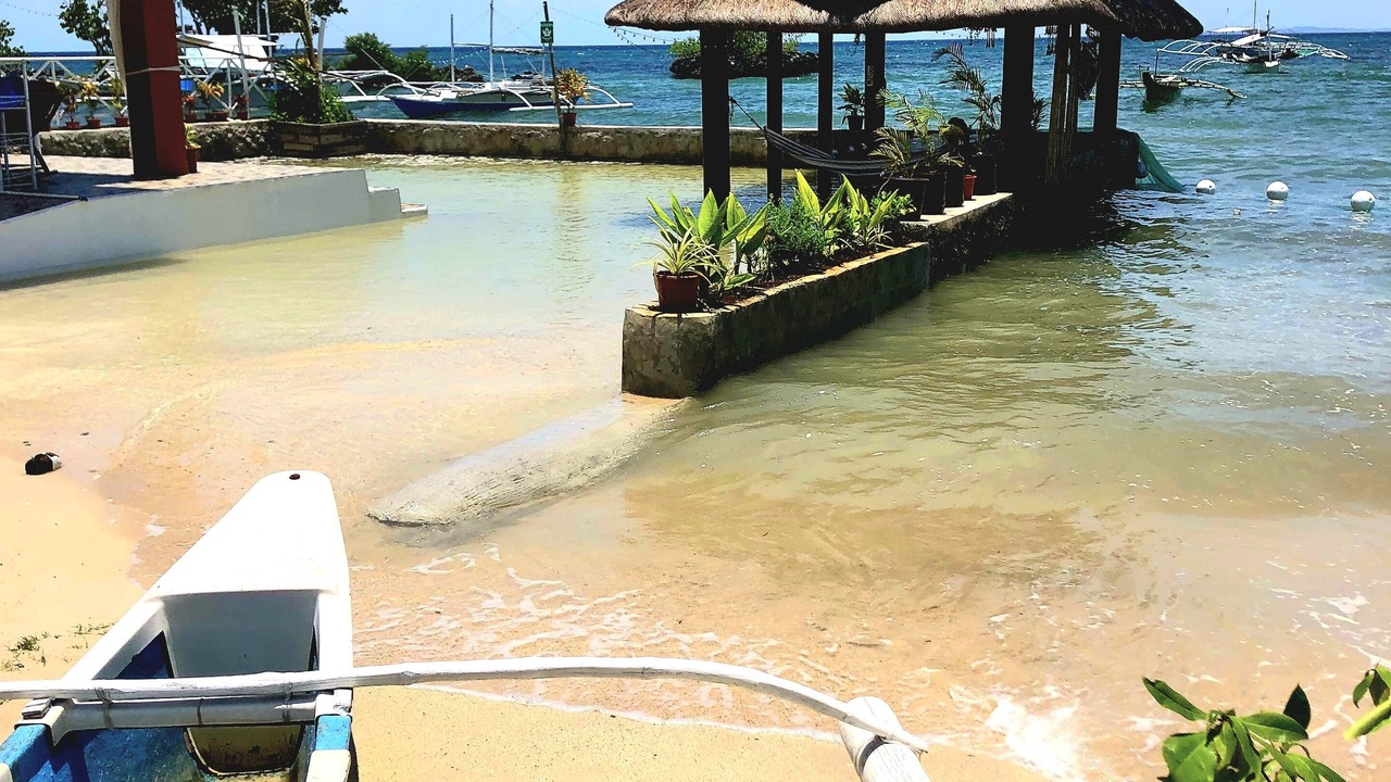 Photo of Others in Lapu-Lapu
