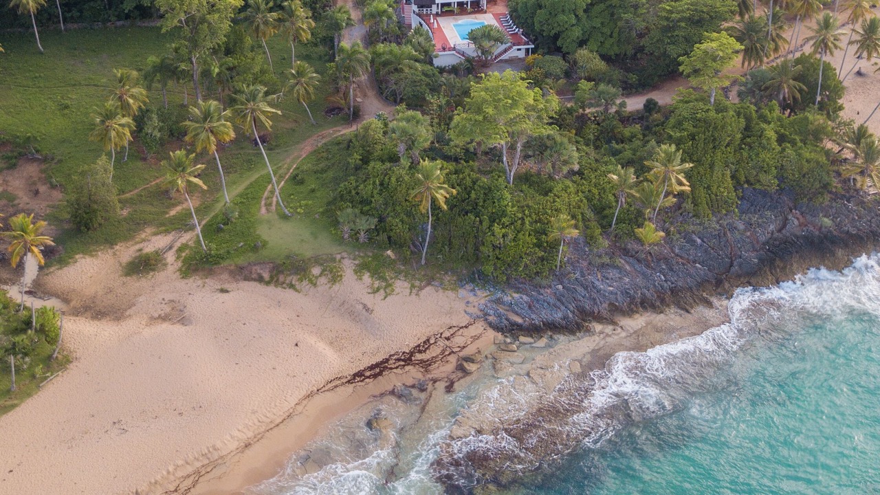 Photo of Others in Las Galeras