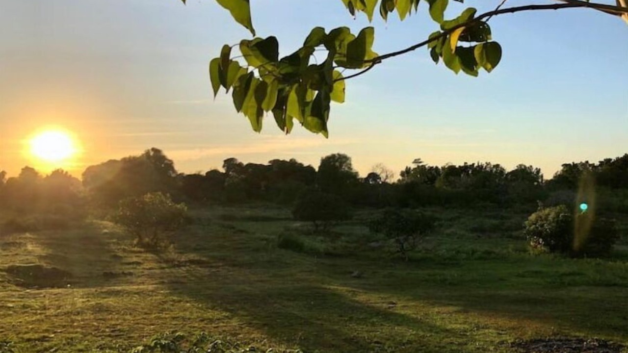 Photo of Outdoor in Cabuyao