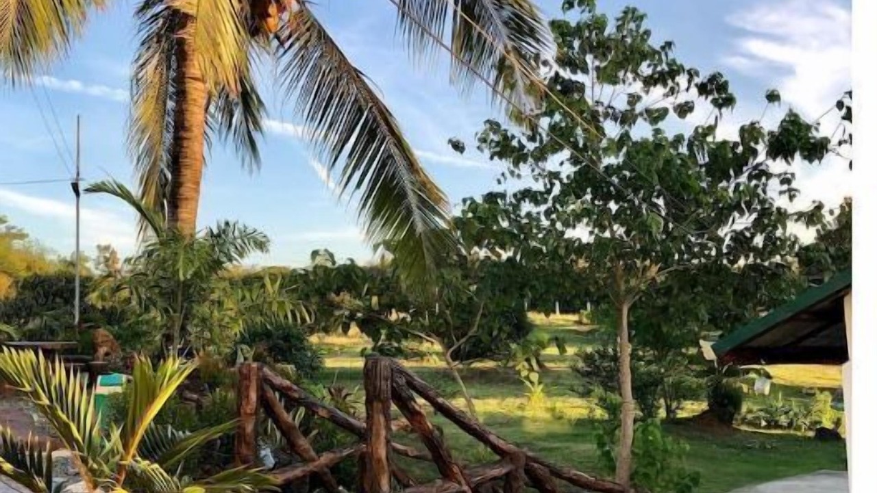 Photo of Outdoor in Cabuyao