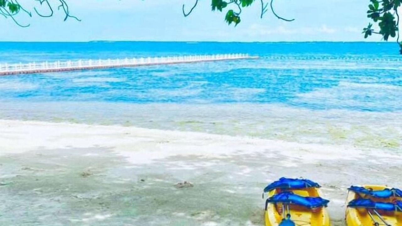 Photo of Others in Maribago