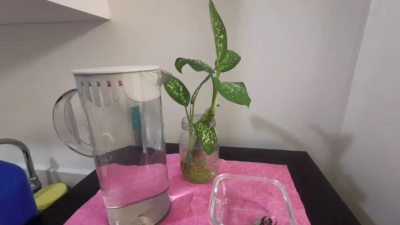 Photo of Others in Diliman