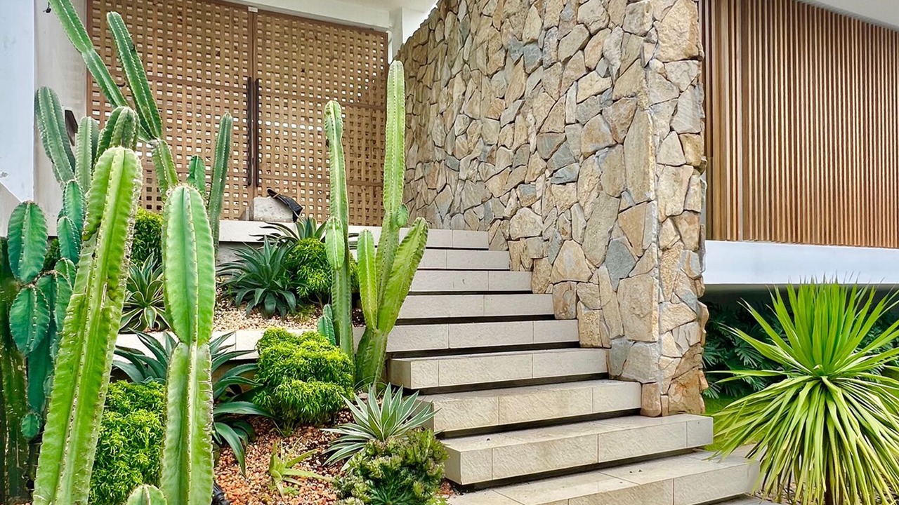 Photo of Outdoor in Alfonso