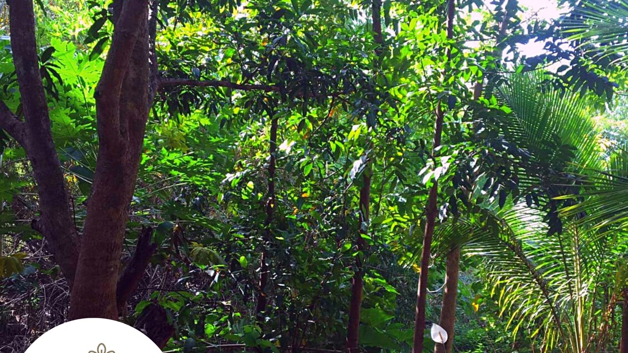 Photo of Outdoor in Mariveles