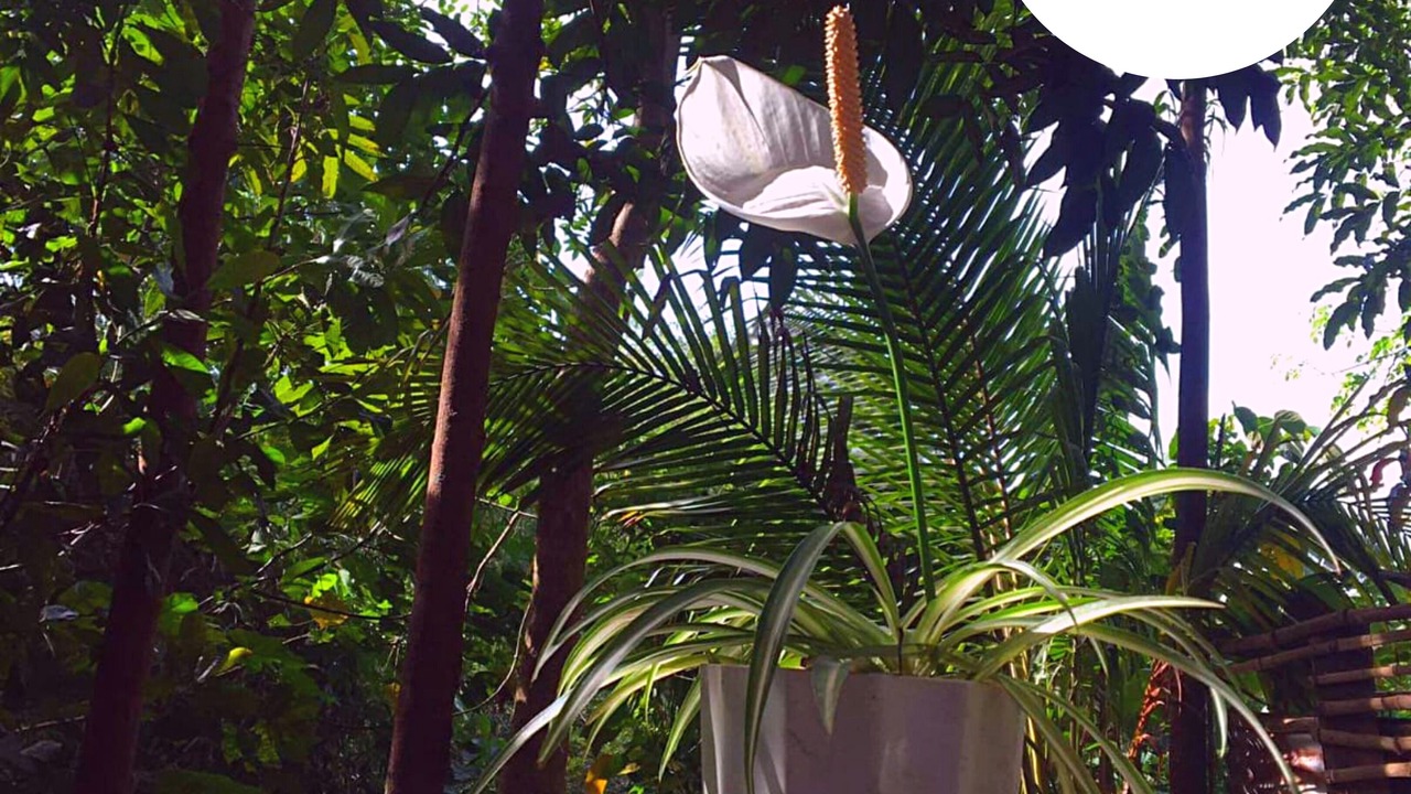 Photo of Outdoor in Mariveles