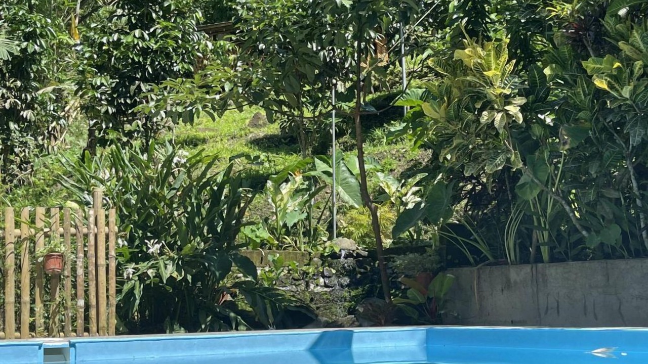 Photo of Outdoor in Murcia
