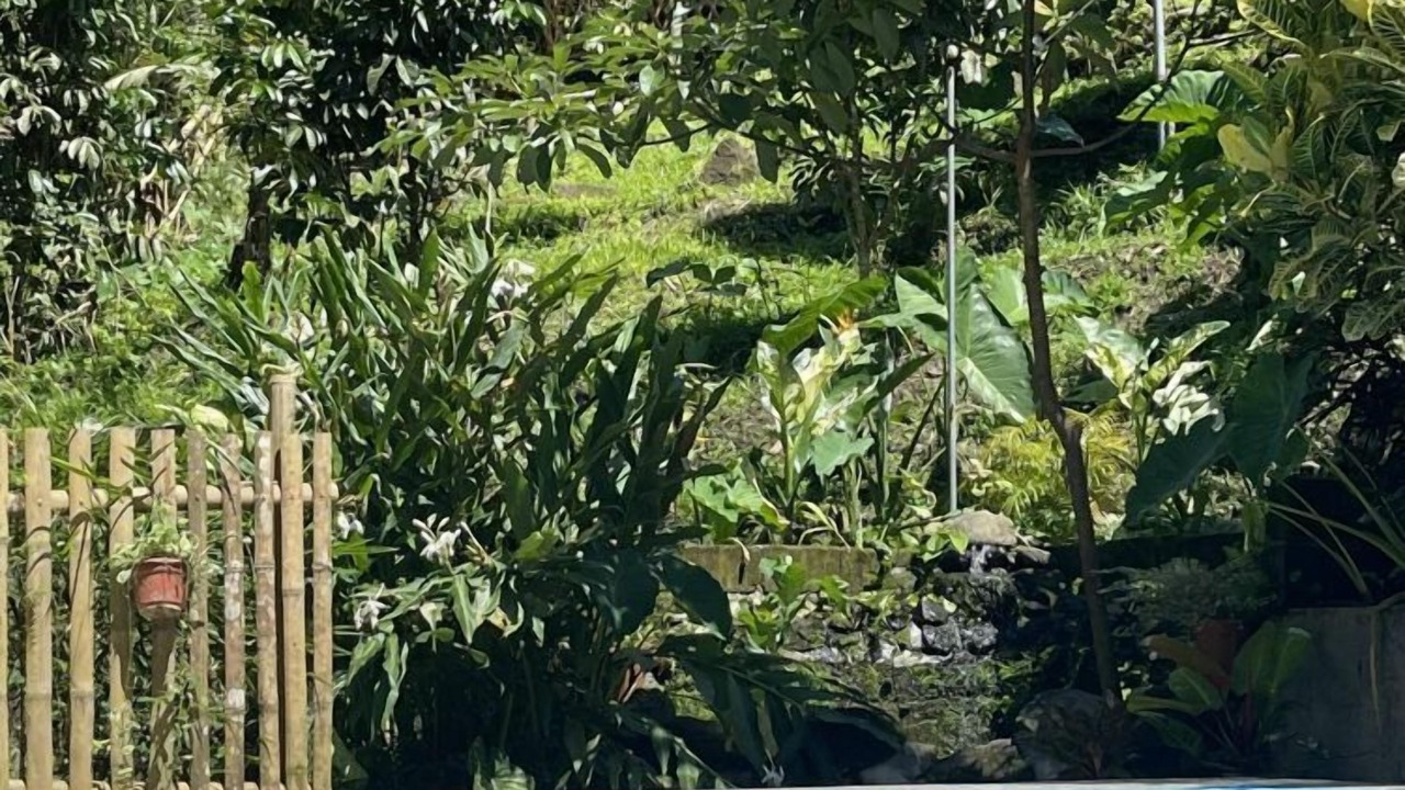 Photo of Outdoor in Murcia