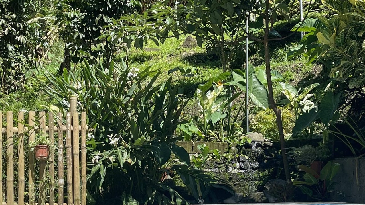 Photo of Outdoor in Murcia
