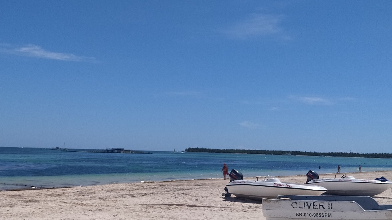 Photo of Others in Playa Bibijagua