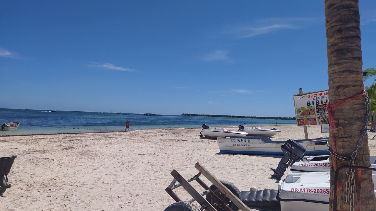 Photo of Others in Playa Bibijagua