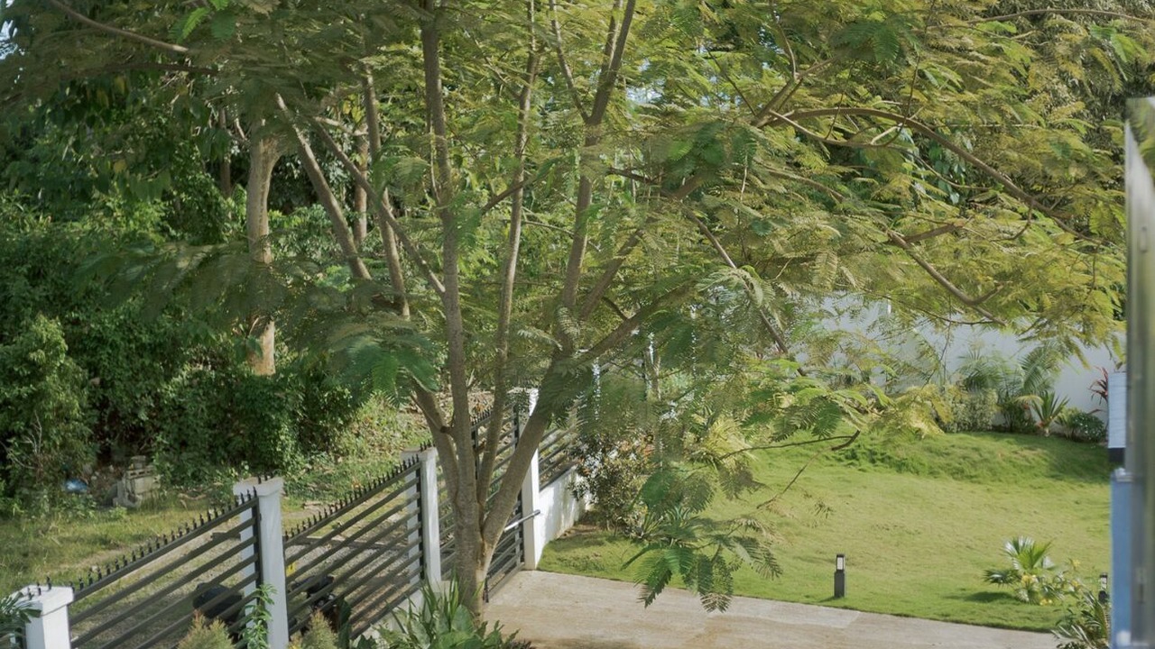 Photo of Outdoor in Baclayon