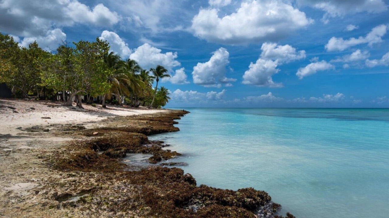 Photo of Others in Dominicus