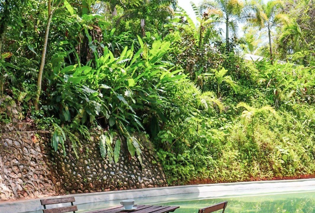 Photo of Outdoor in Samana