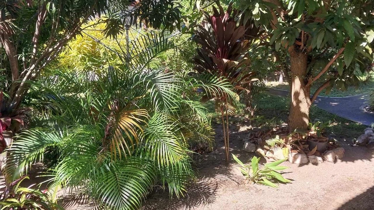 Photo of Outdoor in San Fernando