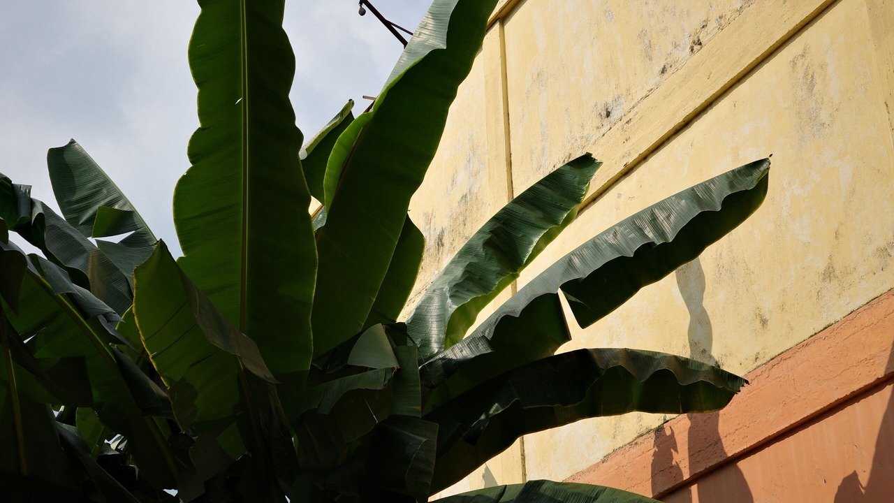 Photo of Outdoor in Bukit Jelutong