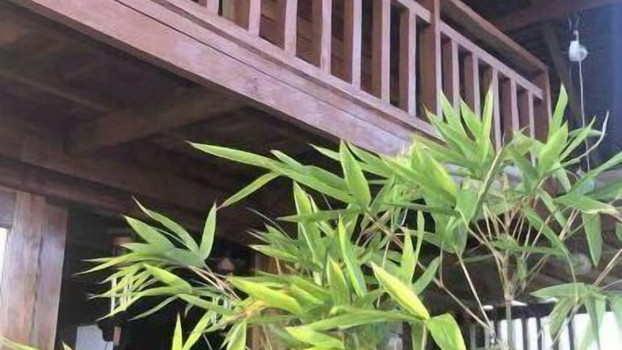 Photo of Outdoor in Nasugbu