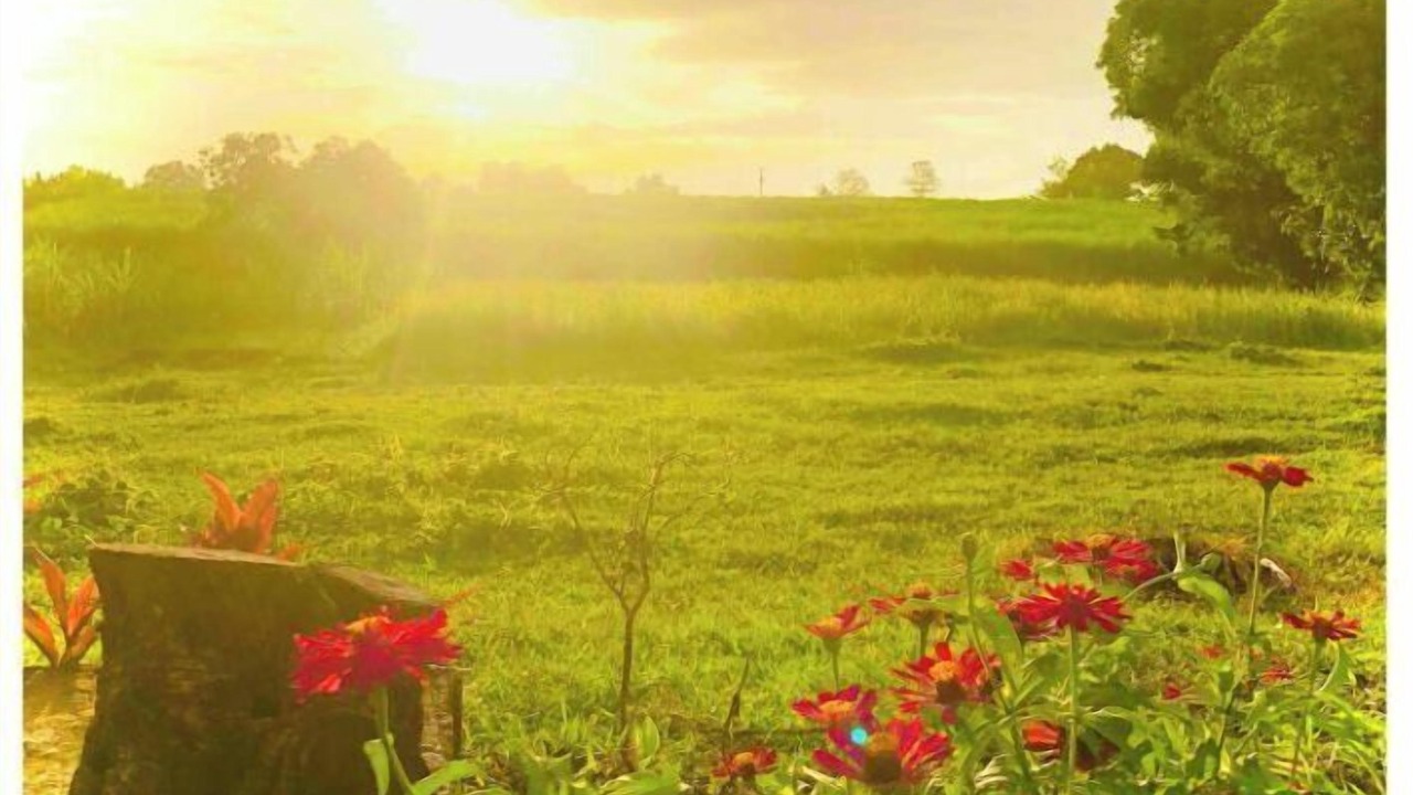 Photo of Outdoor in Nasugbu
