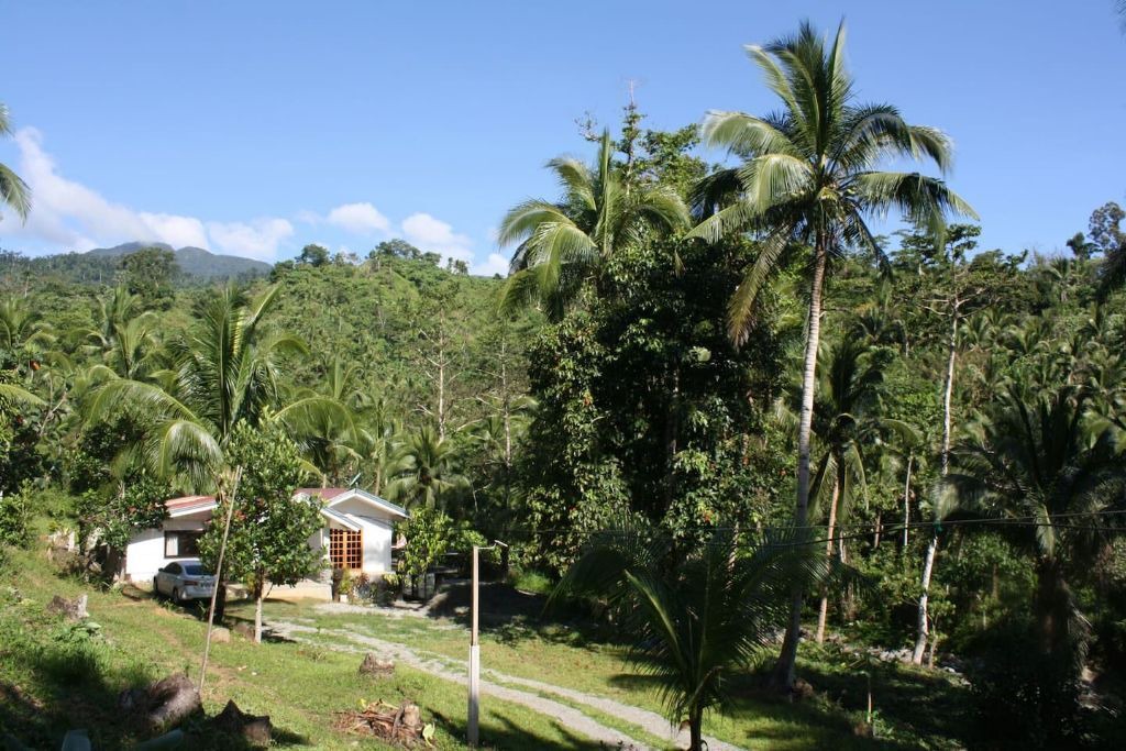 Photo of Outdoor in Dipaculao