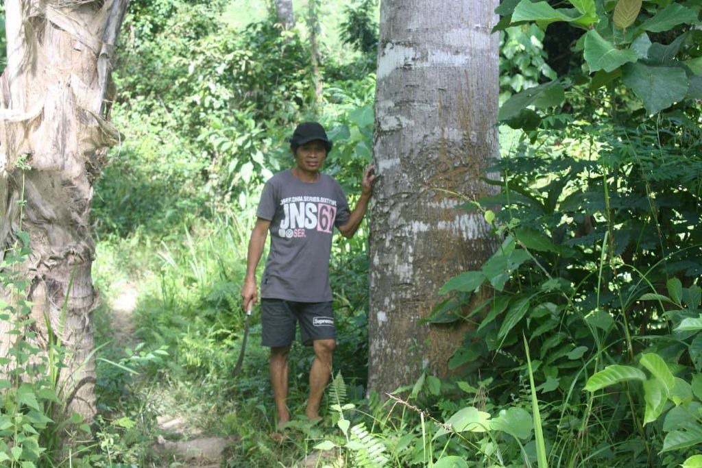 Photo of Outdoor in Dipaculao