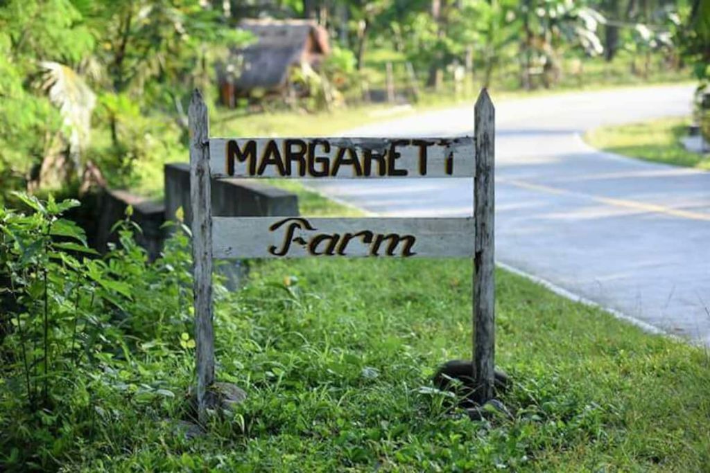 Photo of Outdoor in Dipaculao