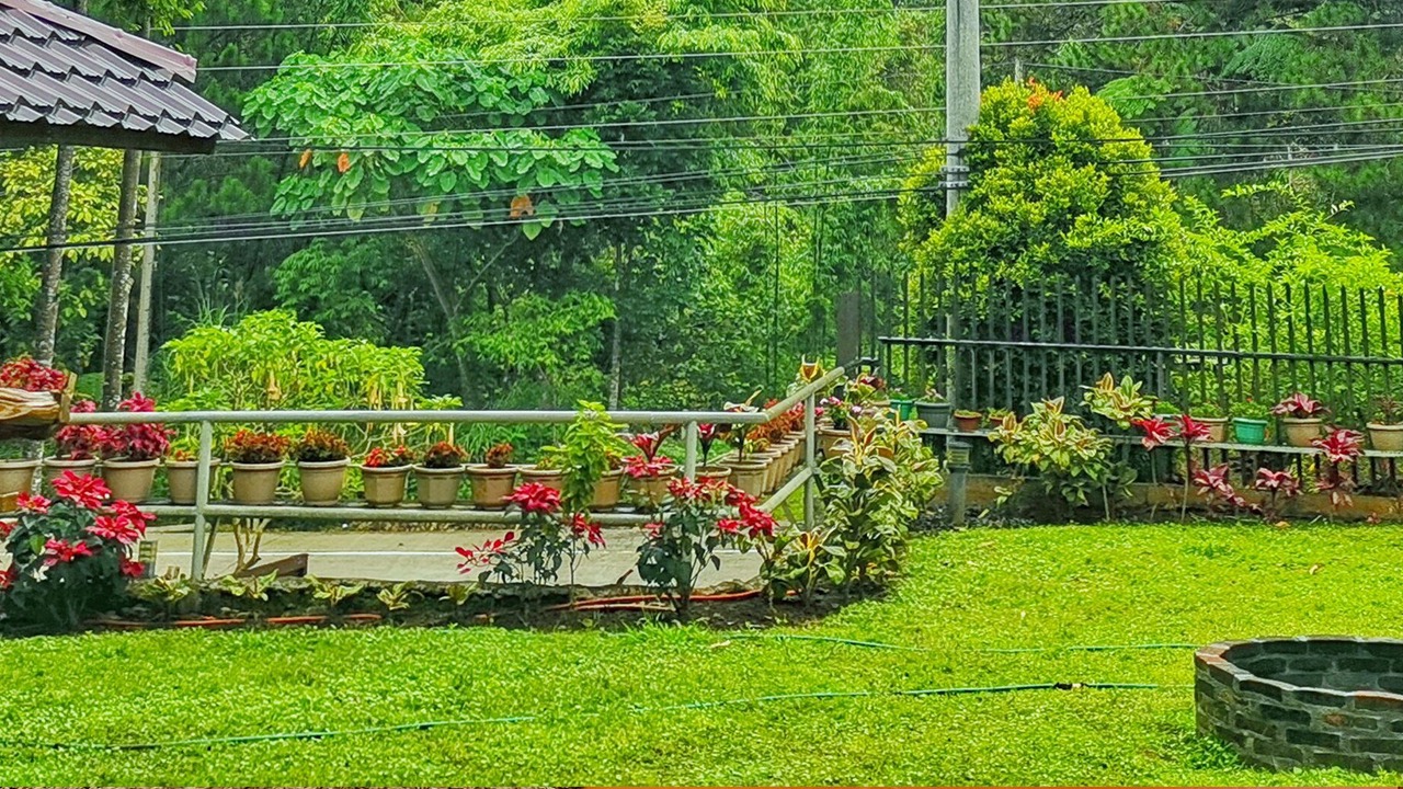 Photo of Outdoor in Arakan